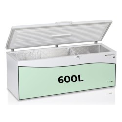 Aspes ACH6200EDC congelador Arcón congelador Independiente 600 L Blanco