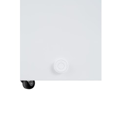 Hisense FT321D4AWLE congelador Arcón congelador Independiente 248 L Blanco