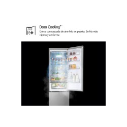 LG GBV5250EPY nevera y congelador Independiente 387 L Acero inoxidable
