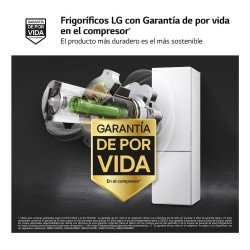 LG GBV21NCDSW nevera y congelador Independiente 344 L Acero inoxidable