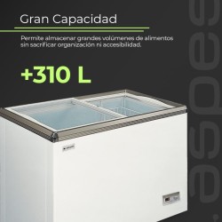 Aspes ACHH3501DDCG congelador Arcón congelador Independiente 312 L Blanco