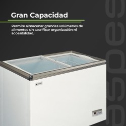 Aspes ACHH2501DDCG congelador Arcón congelador Independiente 223 L Blanco