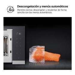 LG MG7Z2593D microondas Negro, Acero inoxidable Microondas con grill Integrado 25 L 900 W