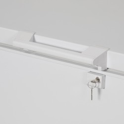 Aspes ACH4600CDC congelador Arcón congelador Independiente 454 L Blanco