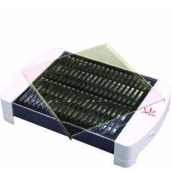 JATA TT589 plancha eléctrica Independiente 550 W Acero inoxidable, Blanco