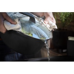 Tefal E24972 Alrededor Negro