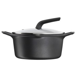 Tefal E24946 Alrededor Negro
