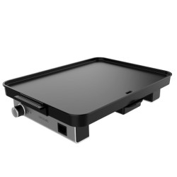 Cecotec Magnet 1800 Independiente 1800 W Negro, Plata