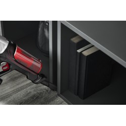 Rowenta RH2077 Aspiradora escoba 2 en 1 Batería Secar Sin bolsa 0,4 L 250 W Negro, Rojo