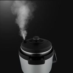 Cecotec Olla GM H Ovall 8 L 1000 W Negro, Acero inoxidable