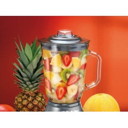 Palson Copacabana 1,5 L Batidora de vaso 600 W Metálico