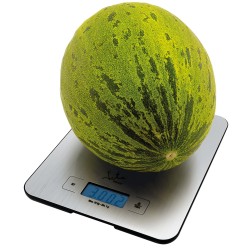 JATA 719 báscula de cocina Multicolor Rectángulo Báscula electrónica de cocina