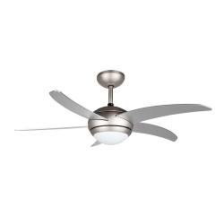 Orbegozo CP 53132 A ventilador Gris