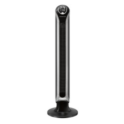 Rowenta Eole VU6670 Negro, Plata
