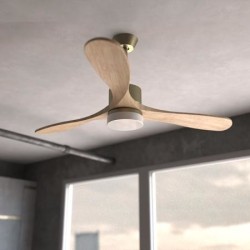 Cecotec 05983 ventilador Oro