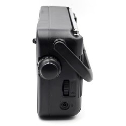 ELBE RF-942 radio Portátil Analógica Negro
