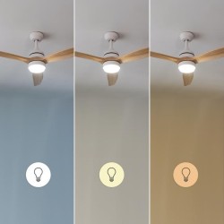 Cecotec 08557 ventilador Madera